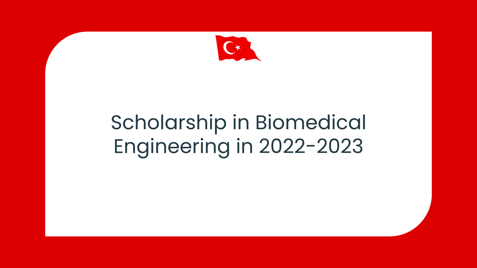 phd scholarship in biomedical engineering